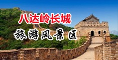 日本操鸡视频免费看中国北京-八达岭长城旅游风景区